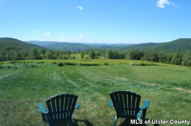 990 Silas Lake Road Halcott, NY 12430 - Photo 1 of 4 Photo 2