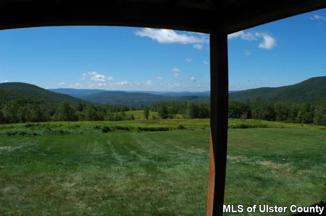 990 Silas Lake Road Halcott, NY 12430 - Photo 3 of 4 Photo 4