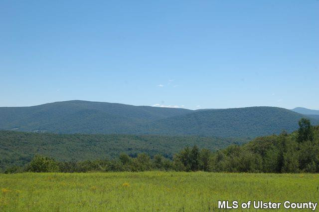 990 Silas Lake Road Halcott, NY 12430 - Photo 4 of 4 Photo 5