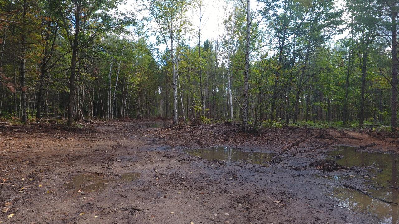 On On Pine Square Road, Unit 11 9 ACRES Tomahawk, WI 54487 - Photo 2 of 20 Gallery Image 2
