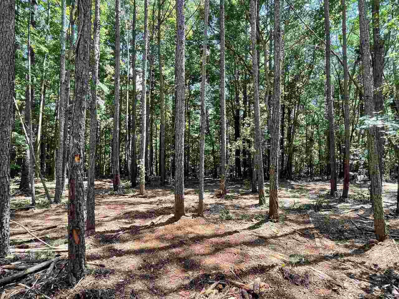 0 Center Point Road, Unit 1 Temple, GA 30179 - Photo 1 of 1 Gallery Image 1