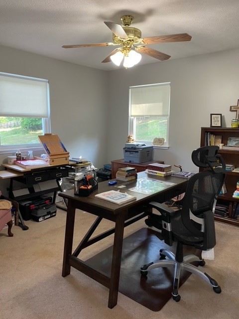 210 Alp Green Road Dayton, TN 37321 - Photo 31 of 34 Gallery Image 31