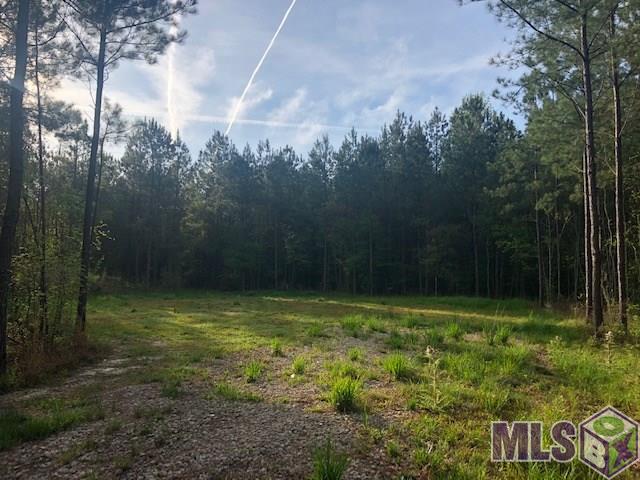 19618 Palmer Road Livingston, LA 70754 - Photo 1 of 6 Gallery Image 1