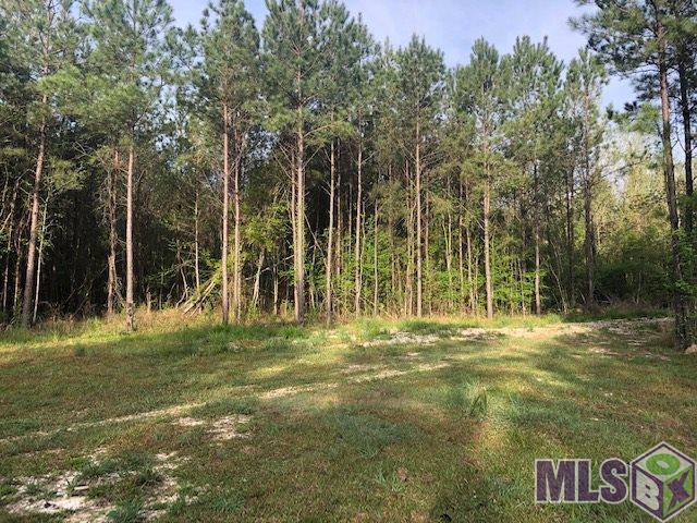 19618 Palmer Road Livingston, LA 70754 - Photo 2 of 6 Gallery Image 2
