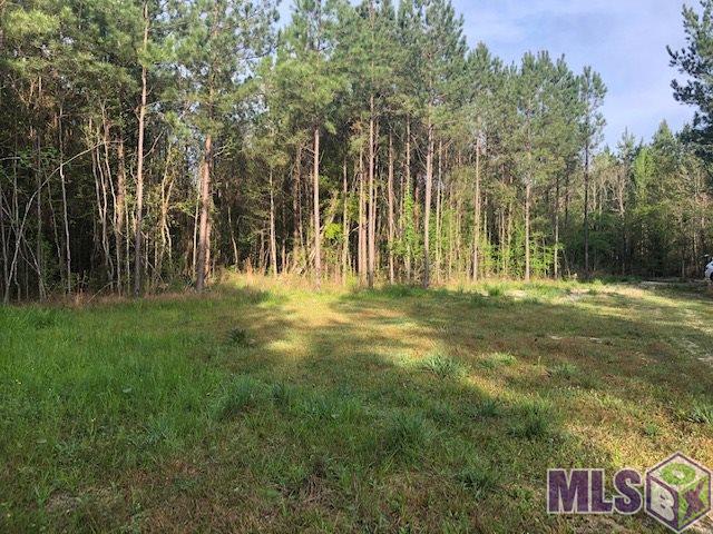 19618 Palmer Road Livingston, LA 70754 - Photo 3 of 6 Gallery Image 3
