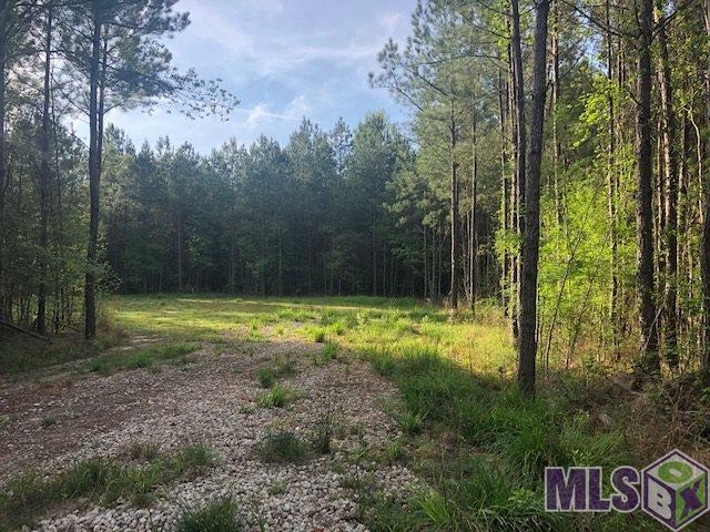 19618 Palmer Road Livingston, LA 70754 - Photo 5 of 6 Gallery Image 5