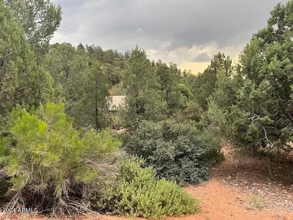 a view of a big yard with large trees
