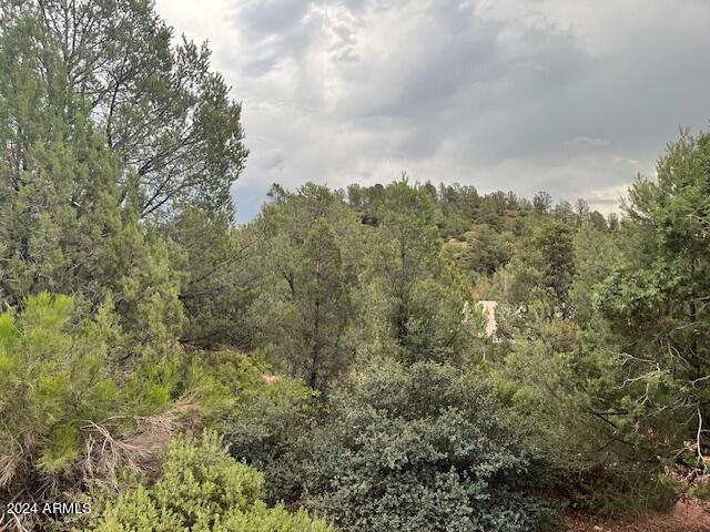 811 West St Moritz Drive, Unit 30 Payson, AZ 85541 - Photo 12 of 19 a view of a big yard with large trees