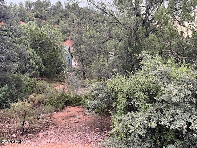811 West St Moritz Drive, Unit 30 Payson, AZ 85541 - Photo 16 of 19 a view of a forest with trees in the background