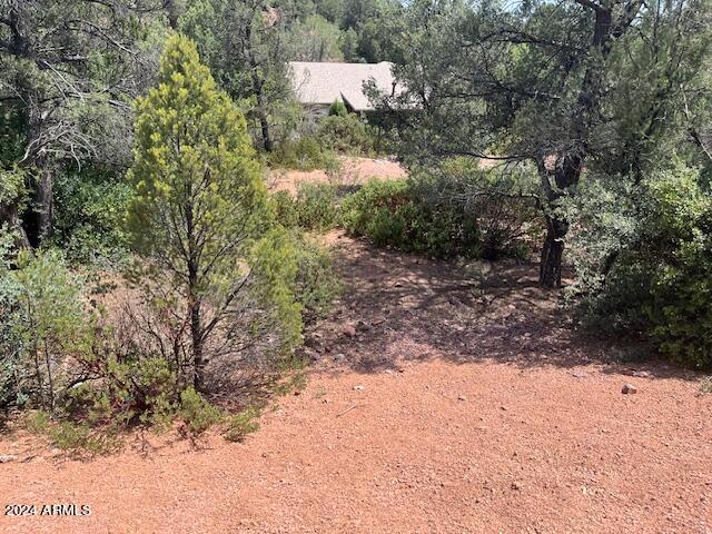811 West St Moritz Drive, Unit 30 Payson, AZ 85541 - Photo 17 of 19 a view of a yard with a tree