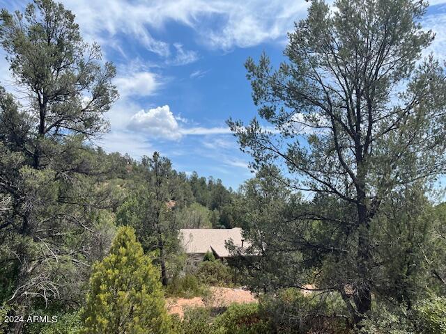 811 West St Moritz Drive, Unit 30 Payson, AZ 85541 - Photo 18 of 19 a view of a dry yard with trees