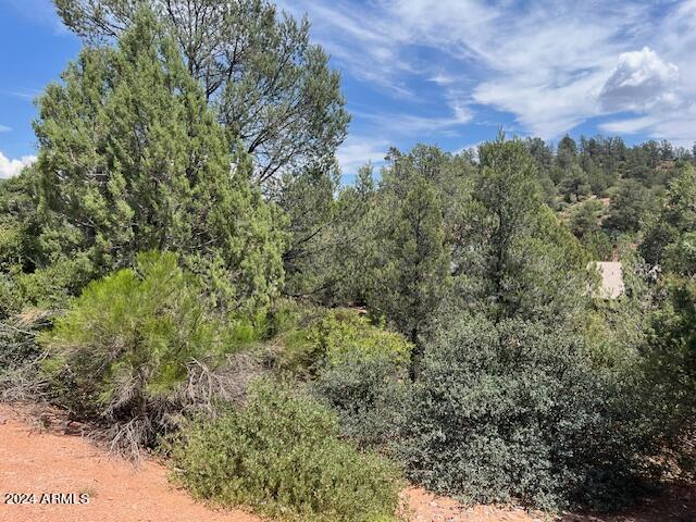 811 West St Moritz Drive, Unit 30 Payson, AZ 85541 - Photo 2 of 19 a view of a city with lush green forest