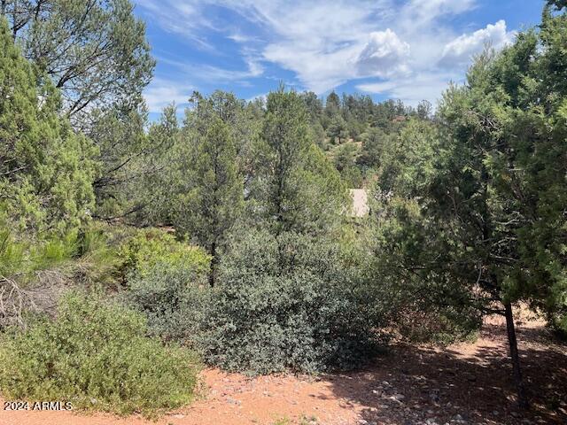 811 West St Moritz Drive, Unit 30 Payson, AZ 85541 - Photo 5 of 19 a view of a forest with a street