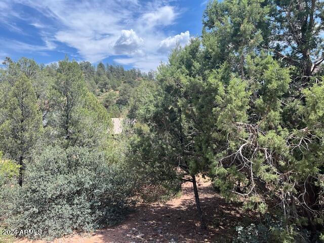 811 West St Moritz Drive, Unit 30 Payson, AZ 85541 - Photo 7 of 19 a view of a city with lush green forest