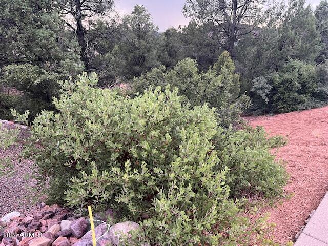 811 West St Moritz Drive, Unit 30 Payson, AZ 85541 - Photo 10 of 19 IMG_3534