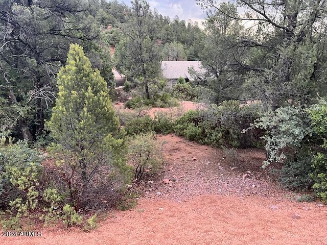 811 West St Moritz Drive, Unit 30 Payson, AZ 85541 - Photo 10 of 19 a view of a dry yard with lots of bushes