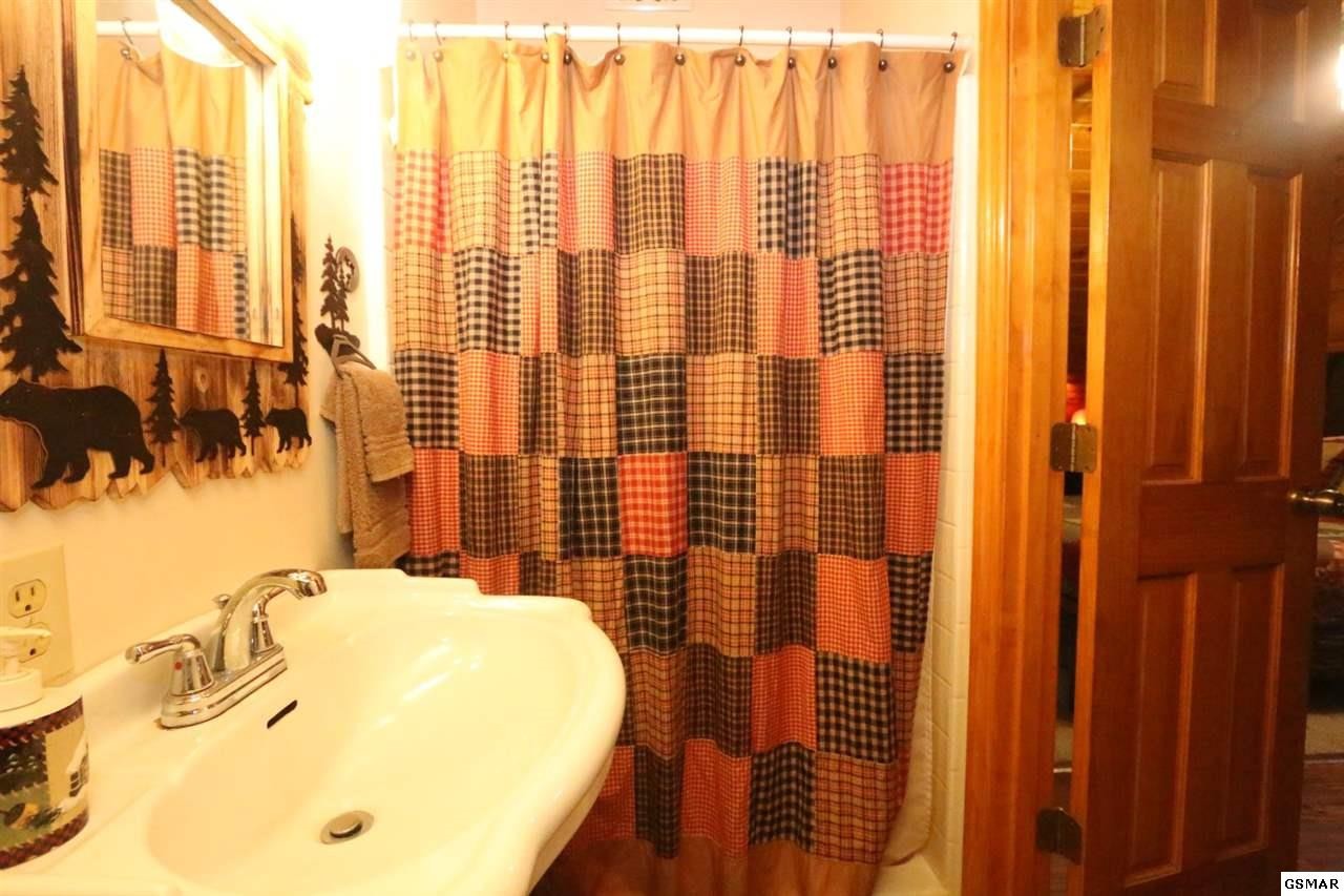 352 Warrior Ridge Way Cosby, TN 37722 - Photo 15 of 23 a bathroom with a bathtub and shower
