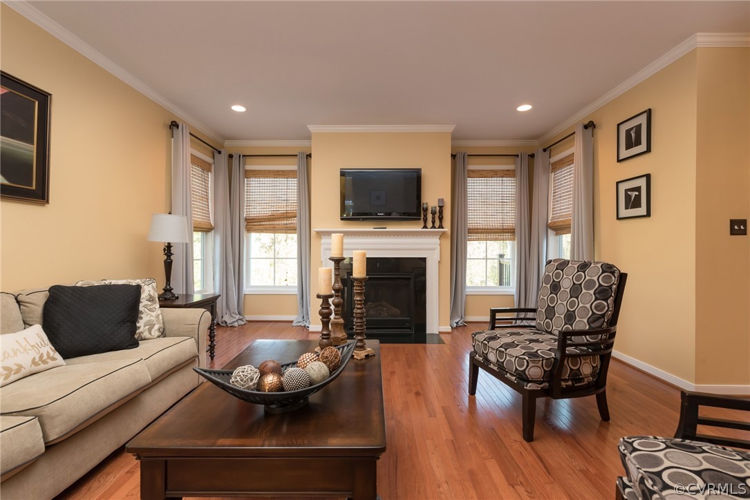 16025 Longlands Road Chesterfield, VA 23832 - Photo 6 of 44 Family Room