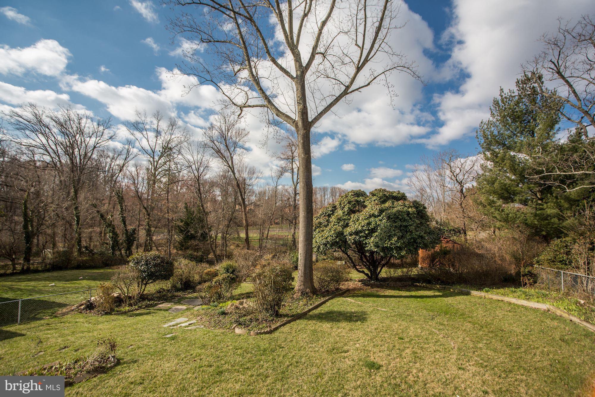 3609 Colony Road Fairfax, VA 22030 - Photo 30 of 30 Masked from the house by landsaping
