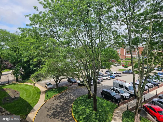 a view of a tennis ground with large trees