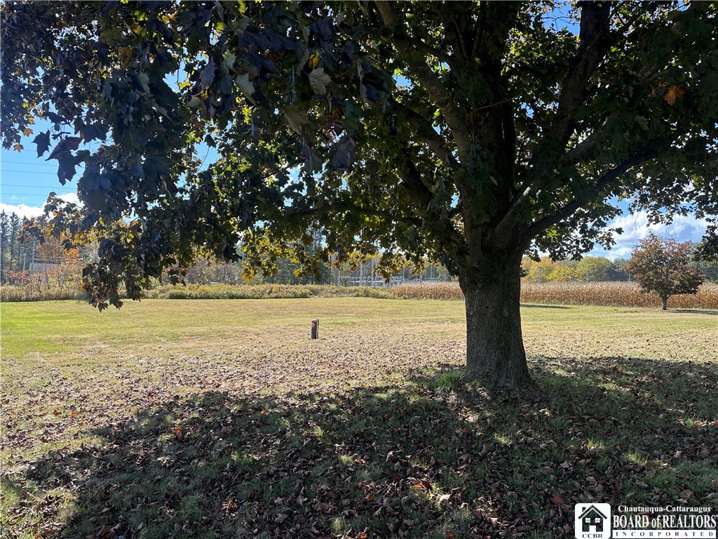 13048 Vaughn Street Springville, NY 14141 - Photo 24 of 31