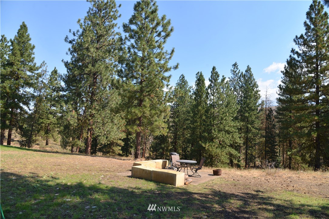 101 Horizon Flats Road Winthrop, WA 98862 - Photo 7 of 24 Gallery Image 7