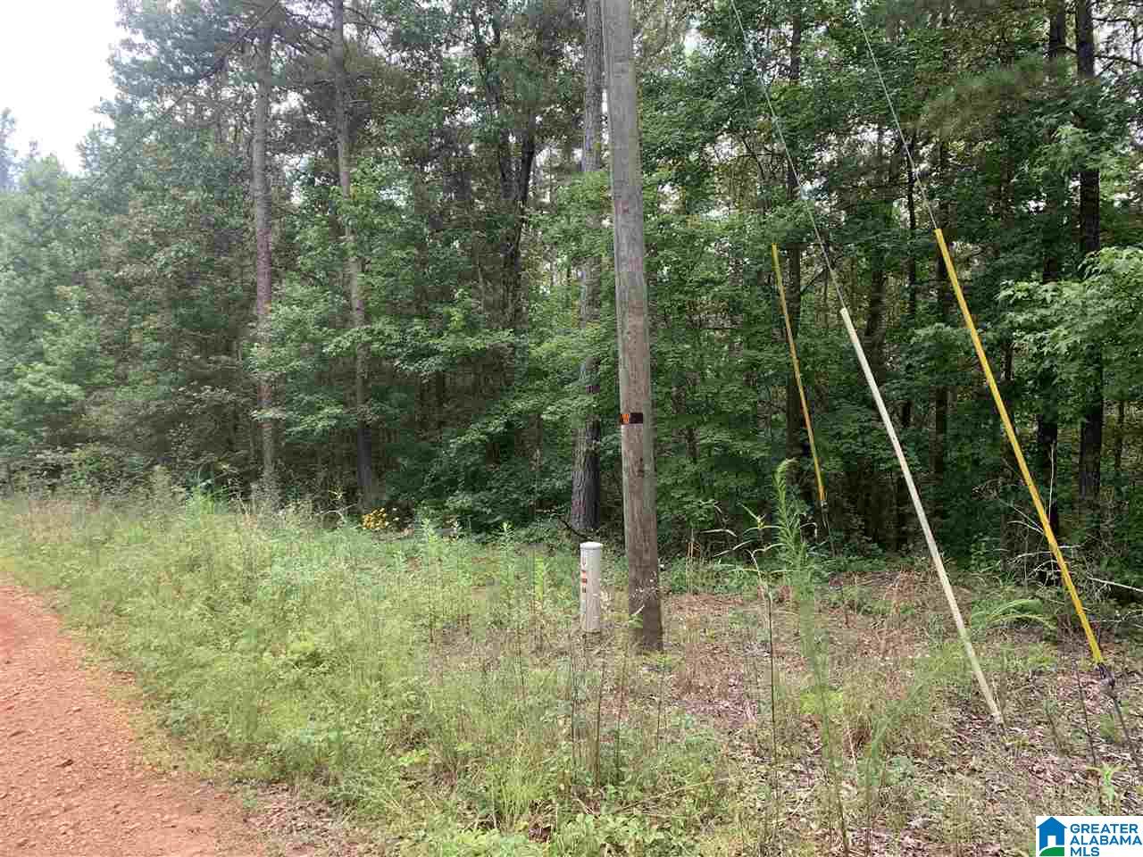 2766 County Road 201 Delta, AL 36258 - Photo 12 of 35