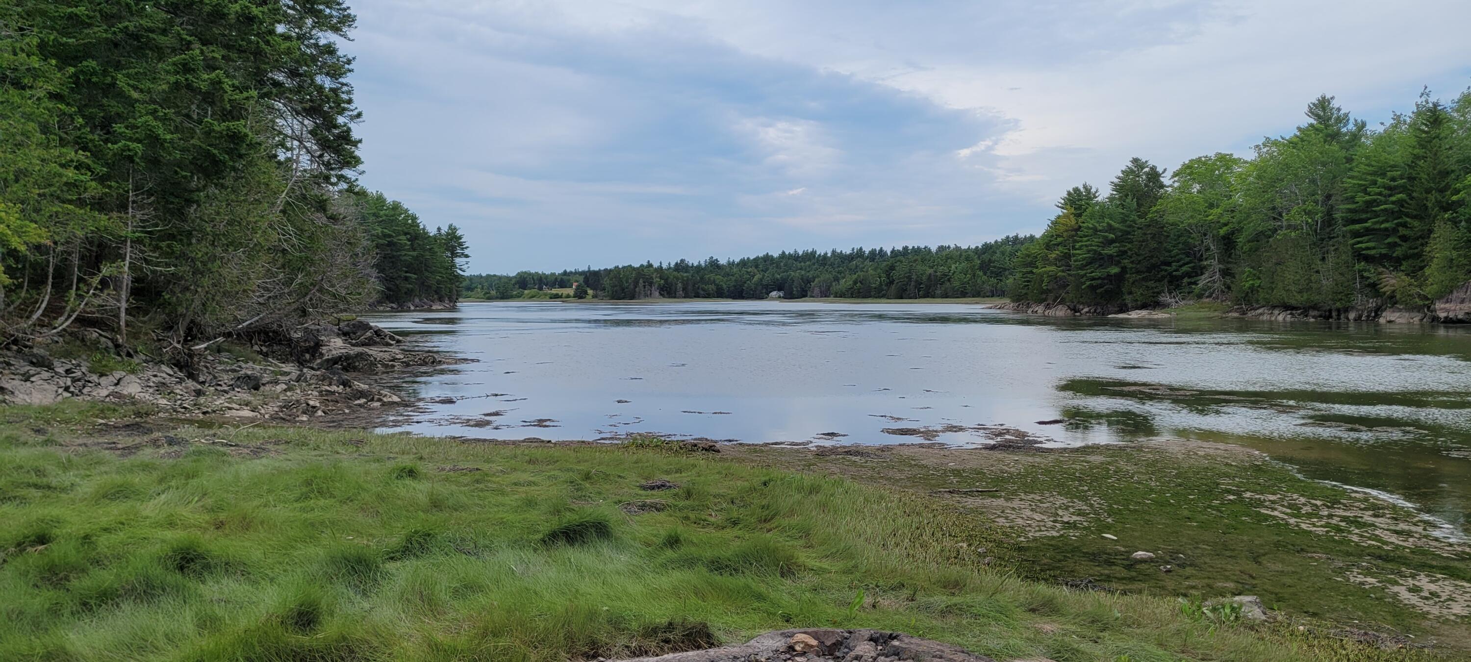 0 Shipyard Road Dennysville, ME 04628 - Photo 6 of 11 20210725_124646