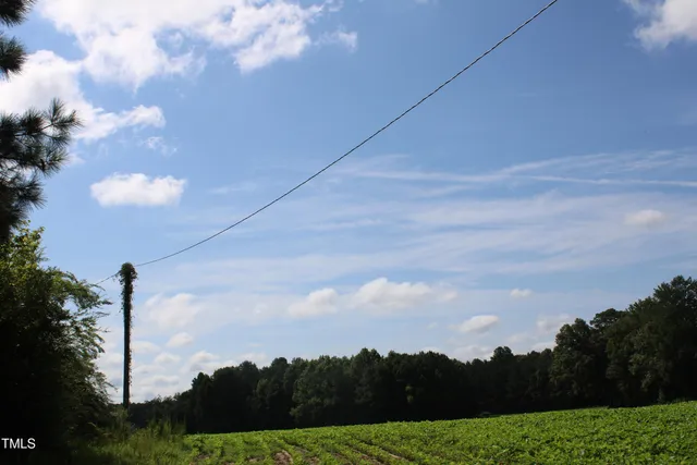 a view of a garden in a backyard
