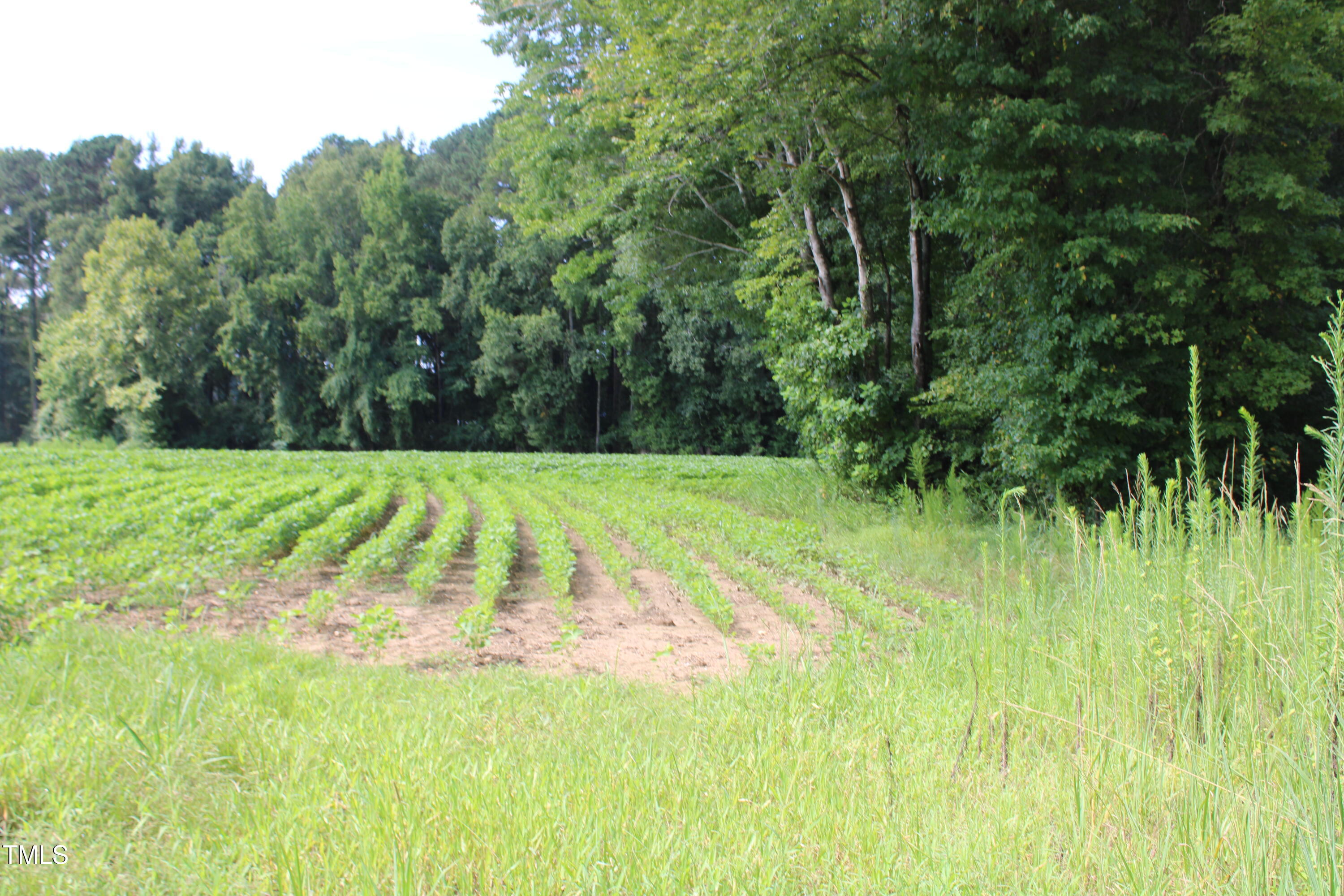 1794 Jr Road Kenly, NC 27542 - Photo 2 of 8 a view of a garden in a backyard