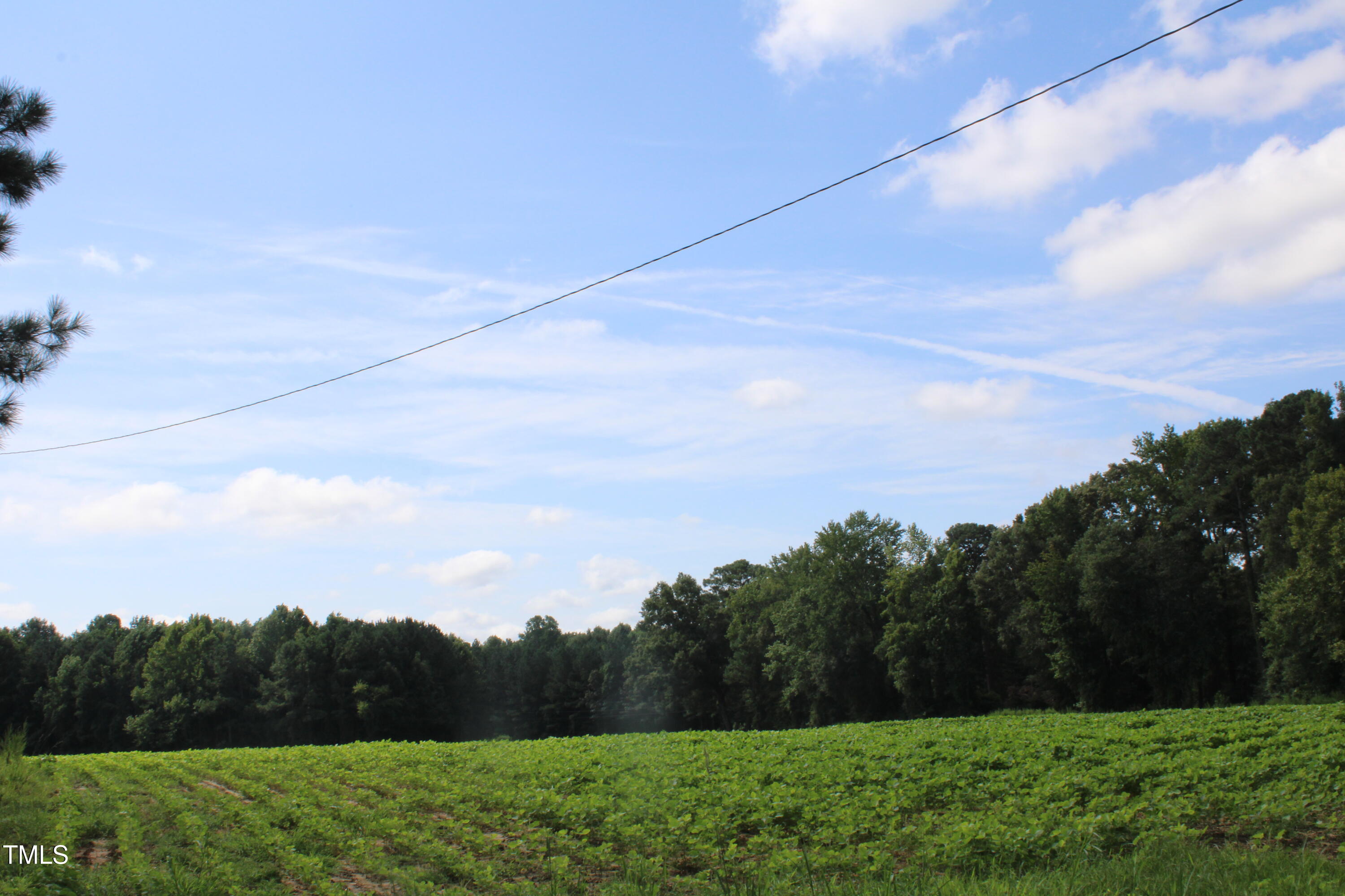 1794 Jr Road Kenly, NC 27542 - Photo 3 of 8 a view of a yard and mountain