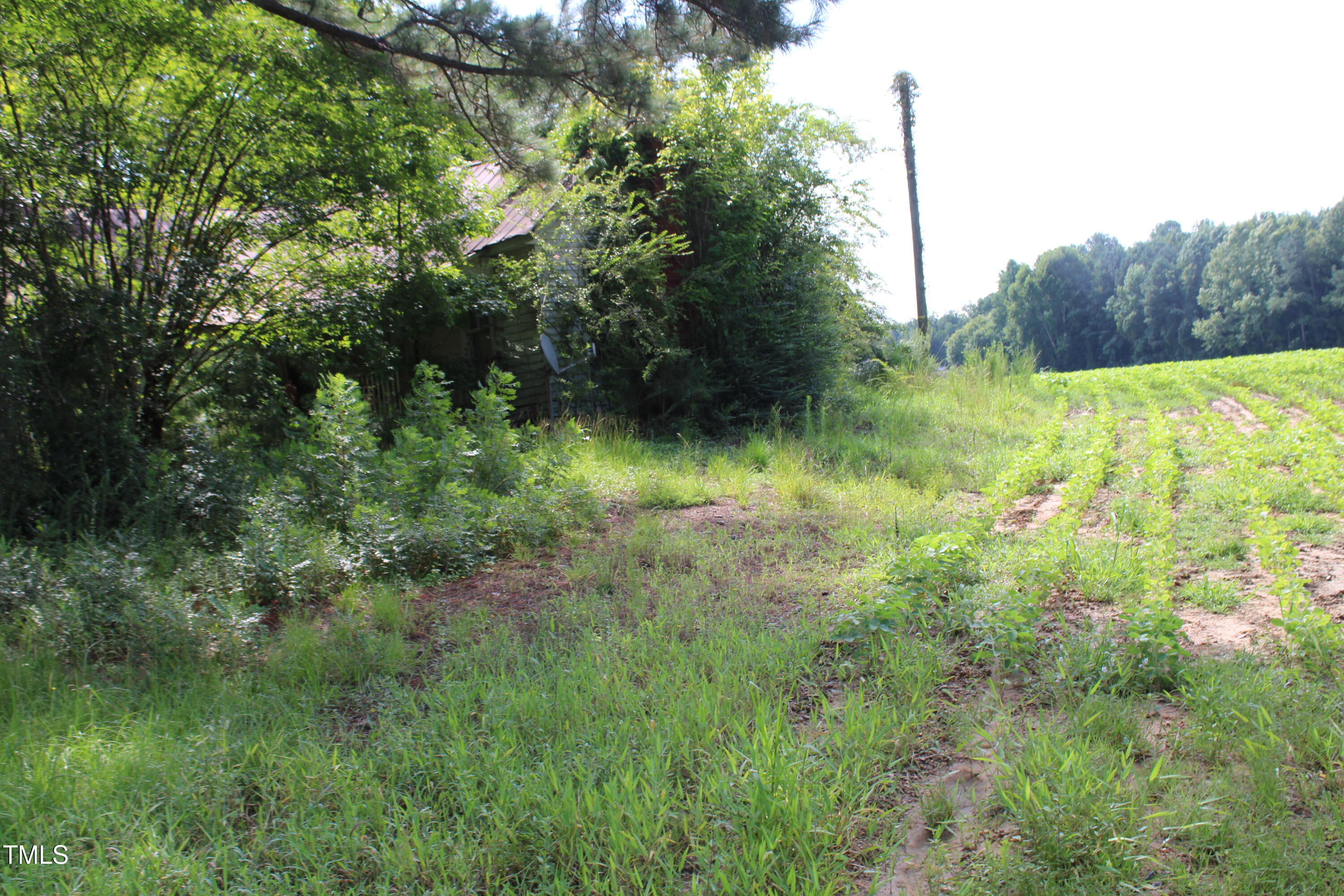 1794 Jr Road Kenly, NC 27542 - Photo 4 of 8 a view of a lush green space