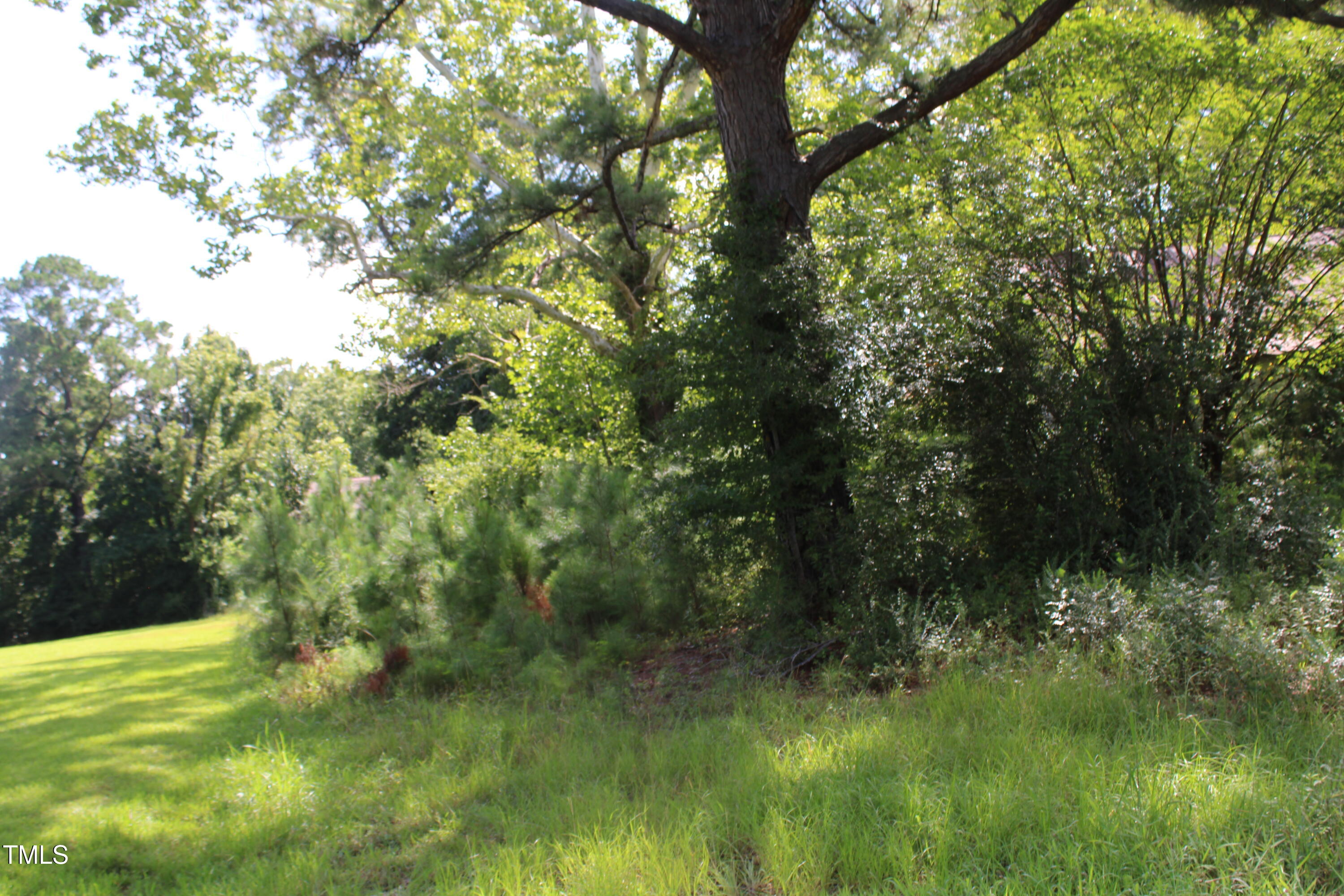 1794 Jr Road Kenly, NC 27542 - Photo 5 of 8 a view of a lush green space