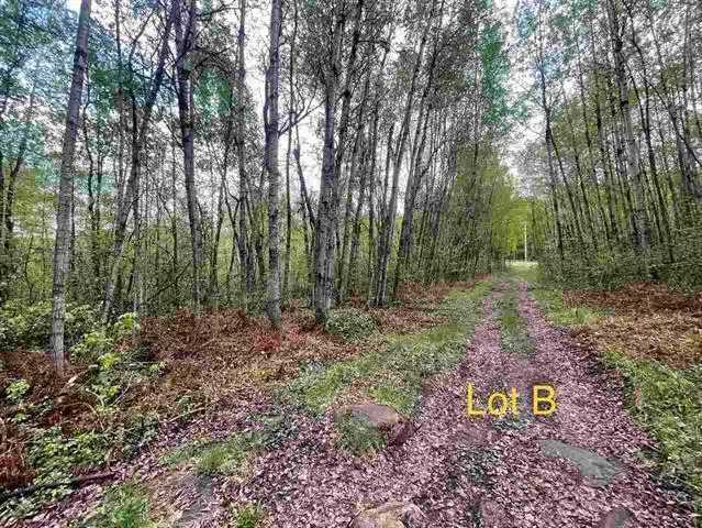 $14,900 | Tbd Tbd 1st Street, Hibbing, MN 55746