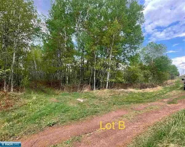 $14,900 | Tbd Tbd 1st Street, Hibbing, MN 55746