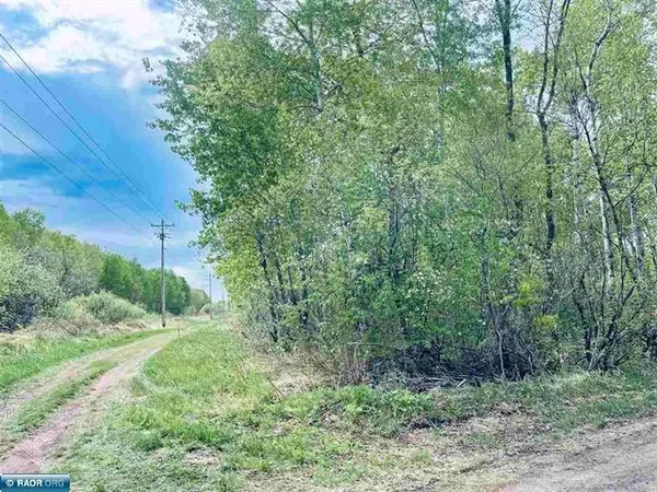 $14,900 | Tbd Tbd 1st Street, Hibbing, MN 55746