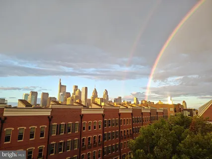 a view of a big yard with palm trees