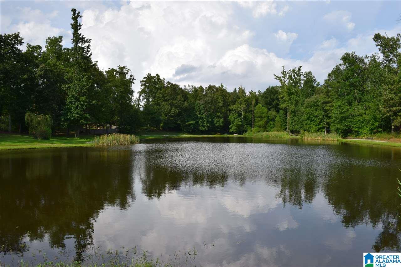 2811 Aster Lake Road Helena, AL 35022 - Photo 32 of 32