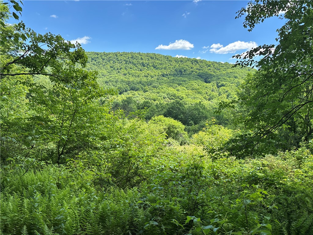 2636 Murphy Hill Road Andes, NY 13731 - Photo 22 of 33