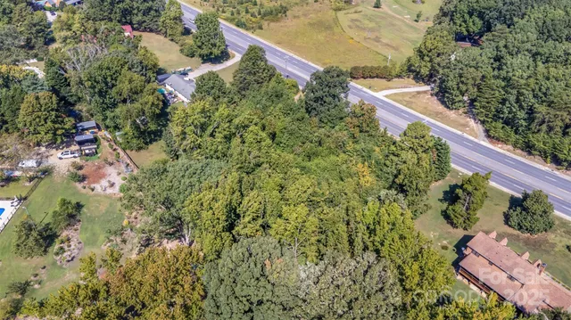 a view of a city with flower plants