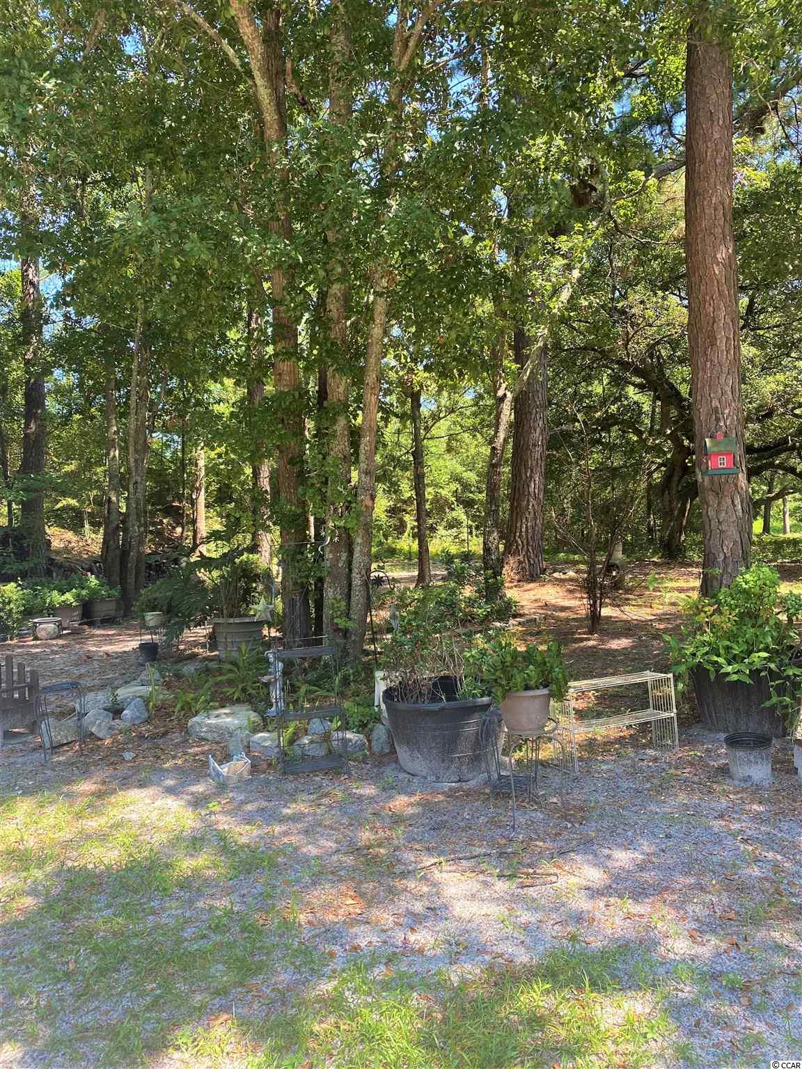 4183 Mini Market Road Little River, SC 29566 - Photo 5 of 32 Gallery Image 5