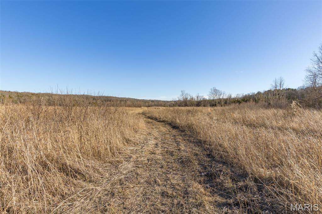 10174 Peacock Road Blackwell, MO 63626 - Photo 2 of 10
