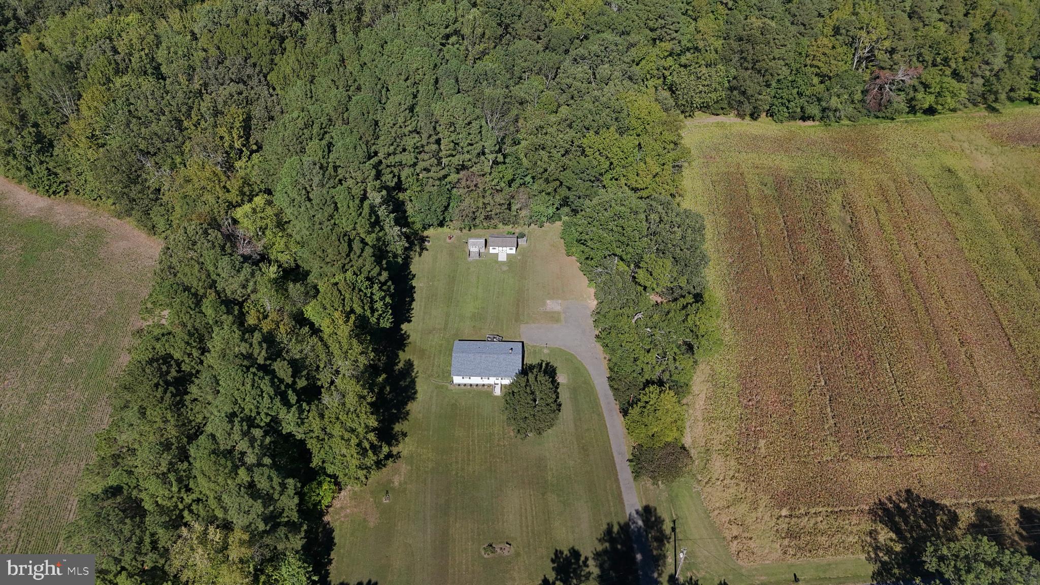 38340 Sugar Hole Road Avenue, MD 20609 - Photo 25 of 32 an aerial view of a houses with a yard