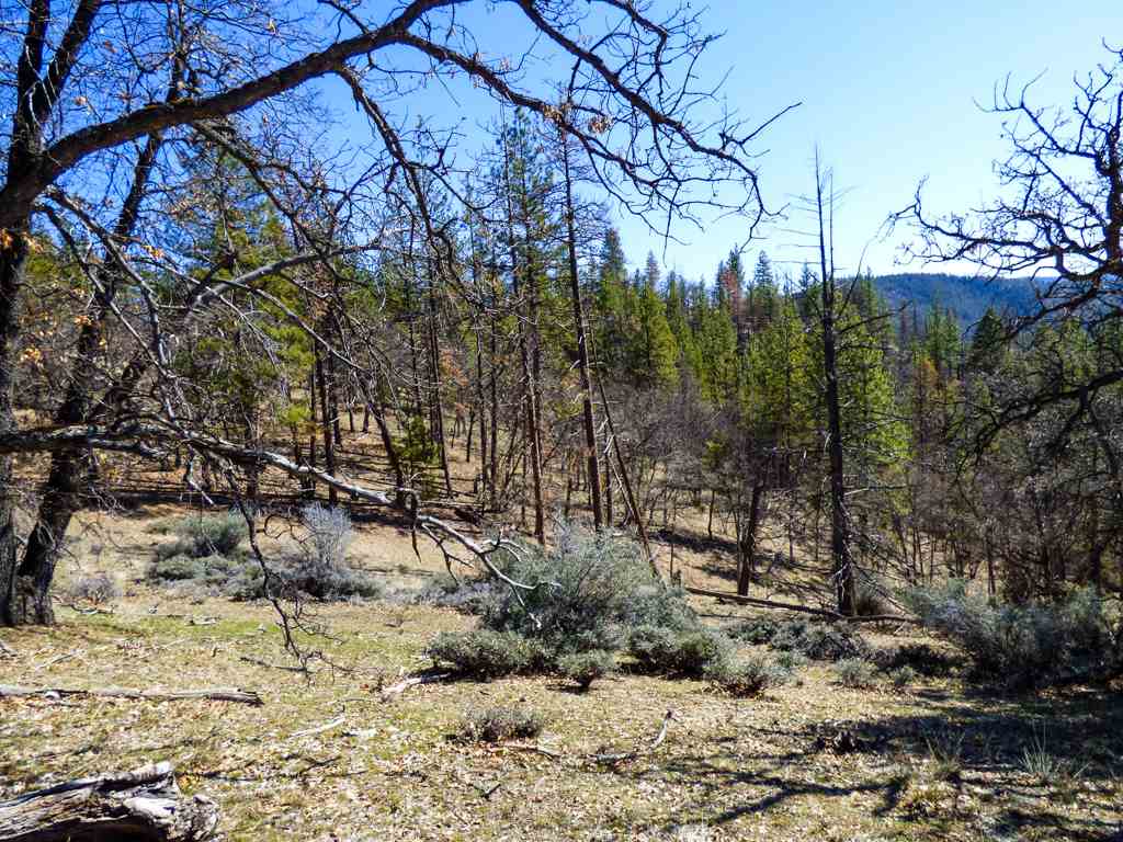 0 Greenhorn Road Yreka, CA 96097 - Photo 3 of 27 Gallery Image 3