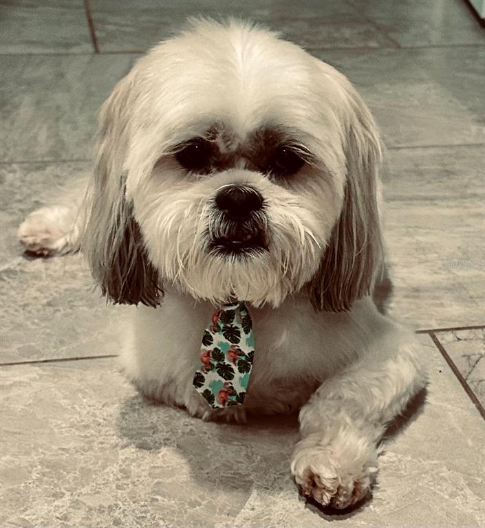 1125 Sunland Road Daytona Beach, FL 32114 - Photo 60 of 60