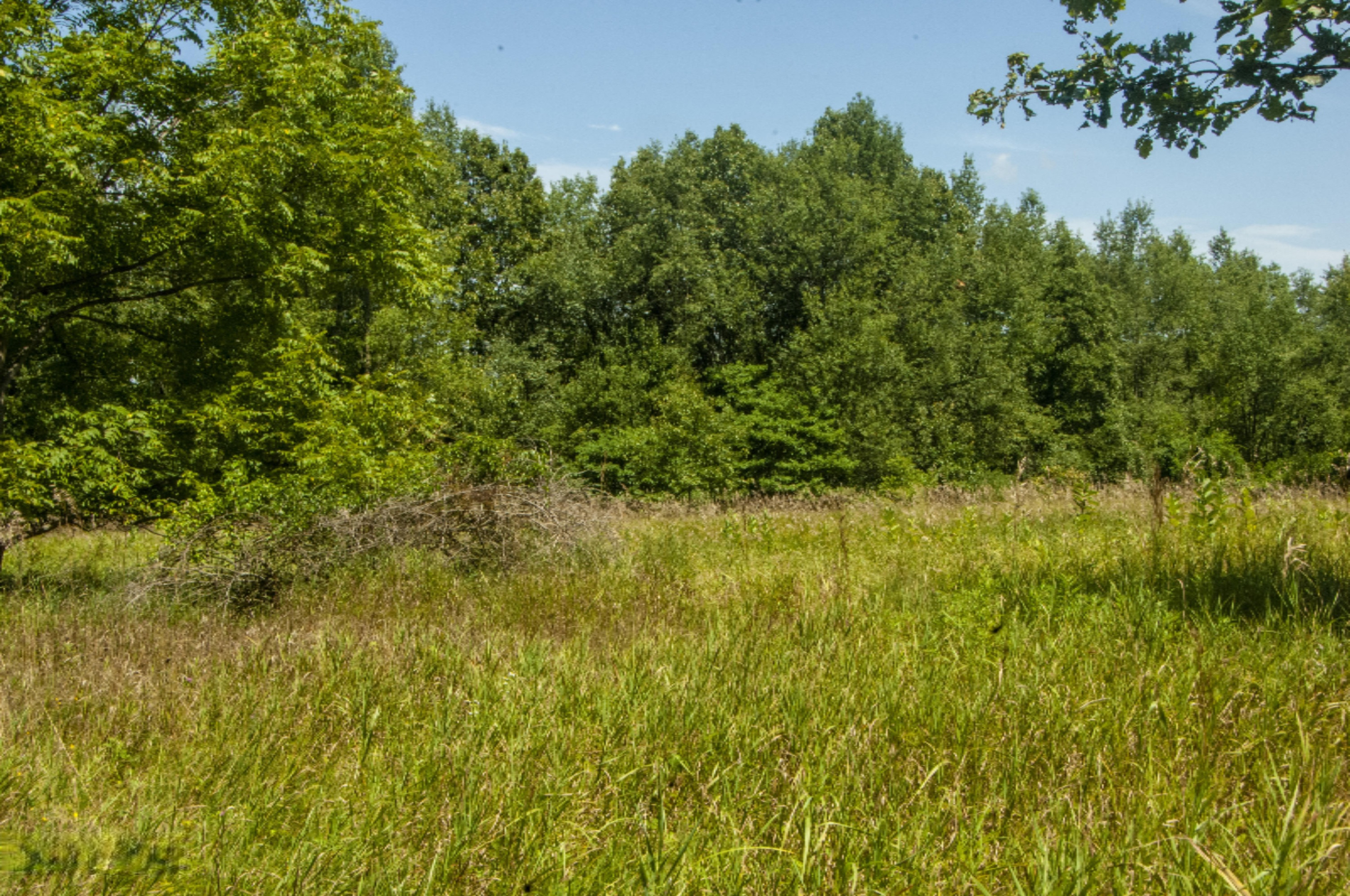 Weaver Road Niles, MI 49120 - Photo 4 of 7 REN_6615