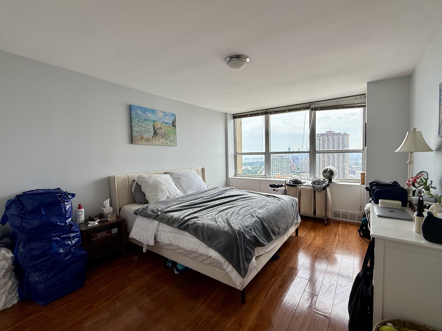 655 West Irving Park Road, Unit 3203 Chicago, IL 60613 - Photo 10 of 16