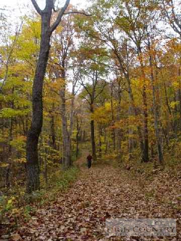 0 Elk Knob Road Todd, NC 28684 - Photo 1 of 1 a view of a bunch of trees