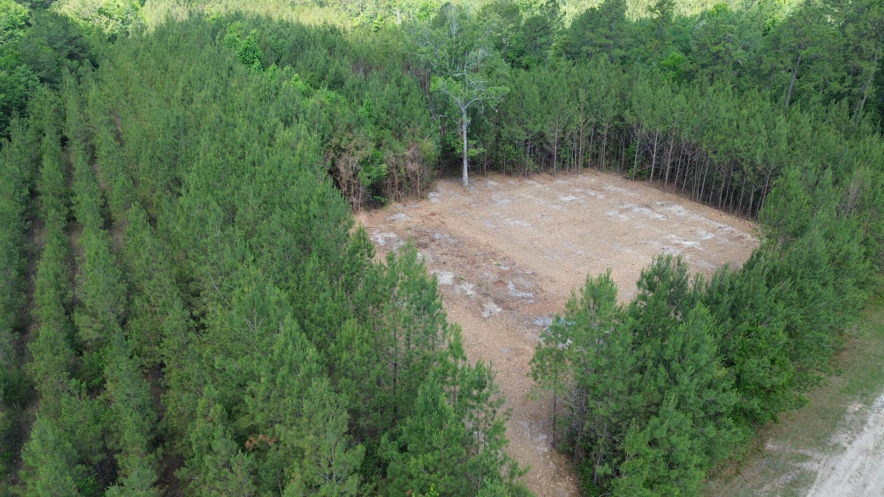 4 Highway 311 Cross, SC 29436 - Photo 7 of 11 DJI_0412