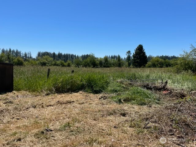 320 Pine Tree Road Toledo, WA 98591 - Photo 15 of 17